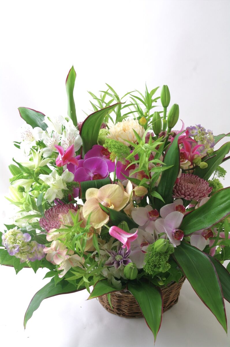 小さな花庭を贈る季節のアレンジメント