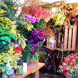 全部のクラス・レッスンの種類