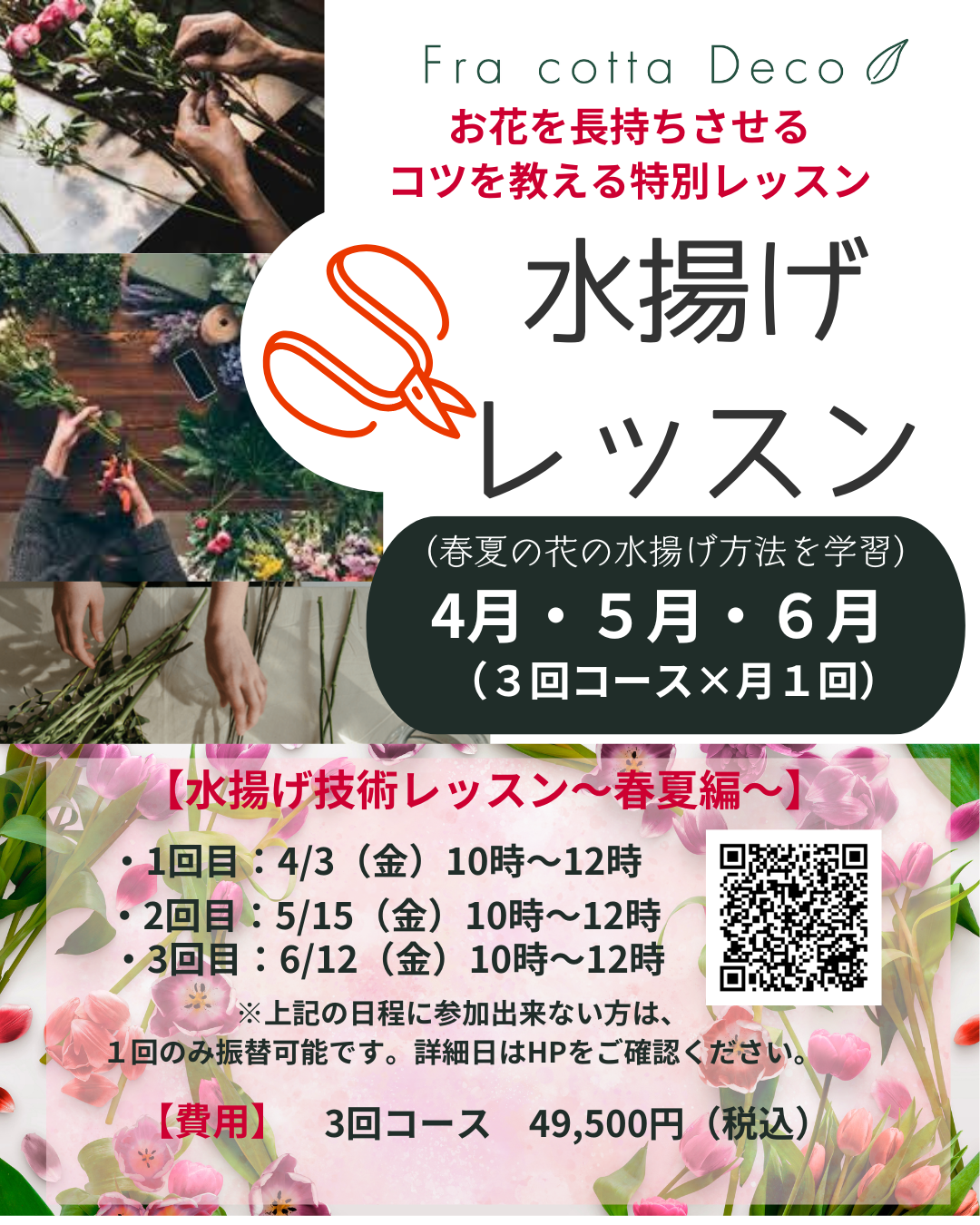 2026水揚げレッスン（春夏編）お申込みスタート！