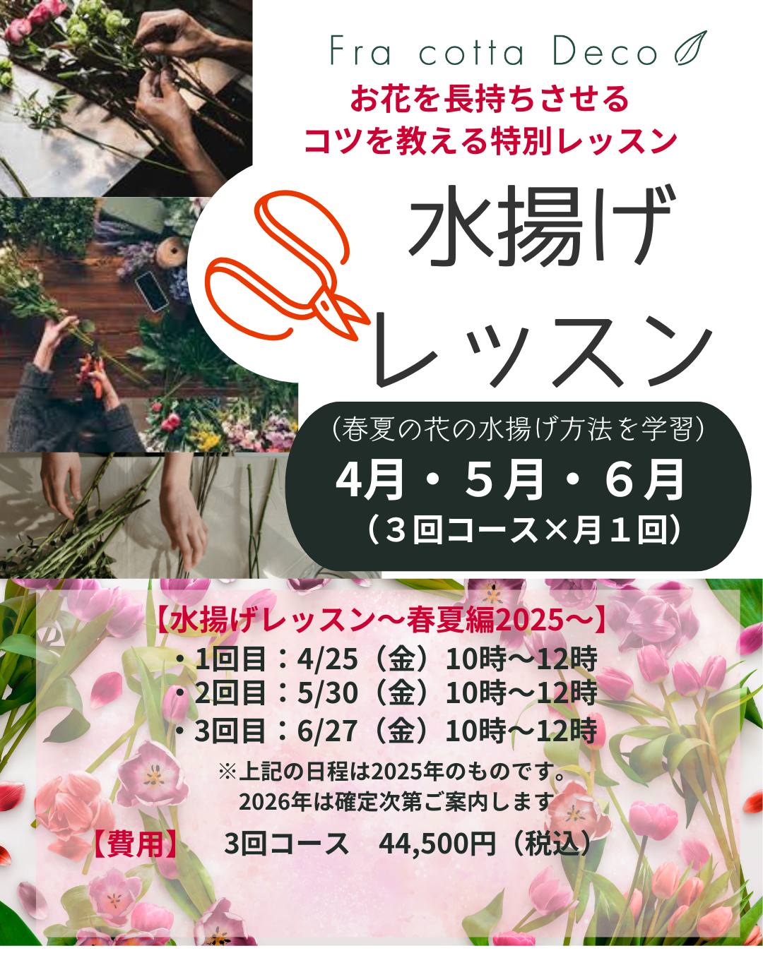 水揚げレッスン～春夏編～【2026春夏の予告】