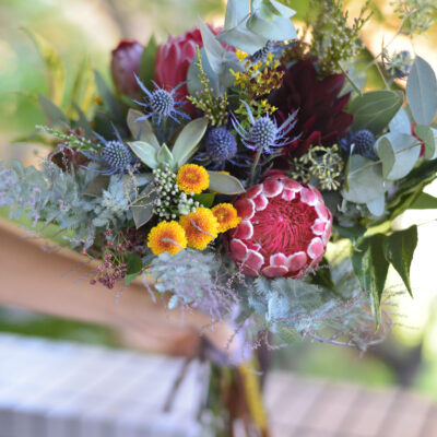 花暦<通年プログラム>~季節を巡り、花と暮らす~