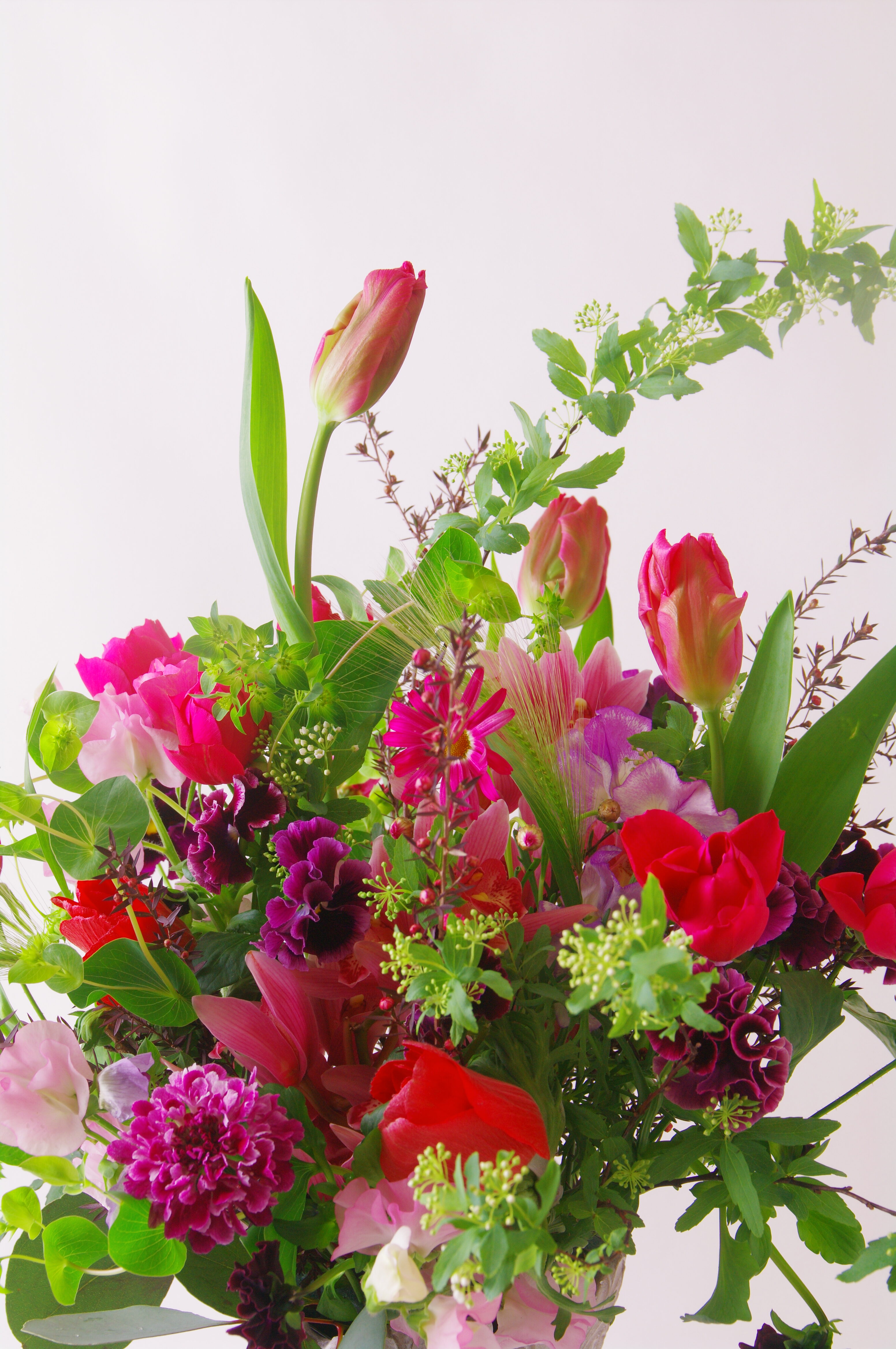 体験レッスン(1月・2月・3月)