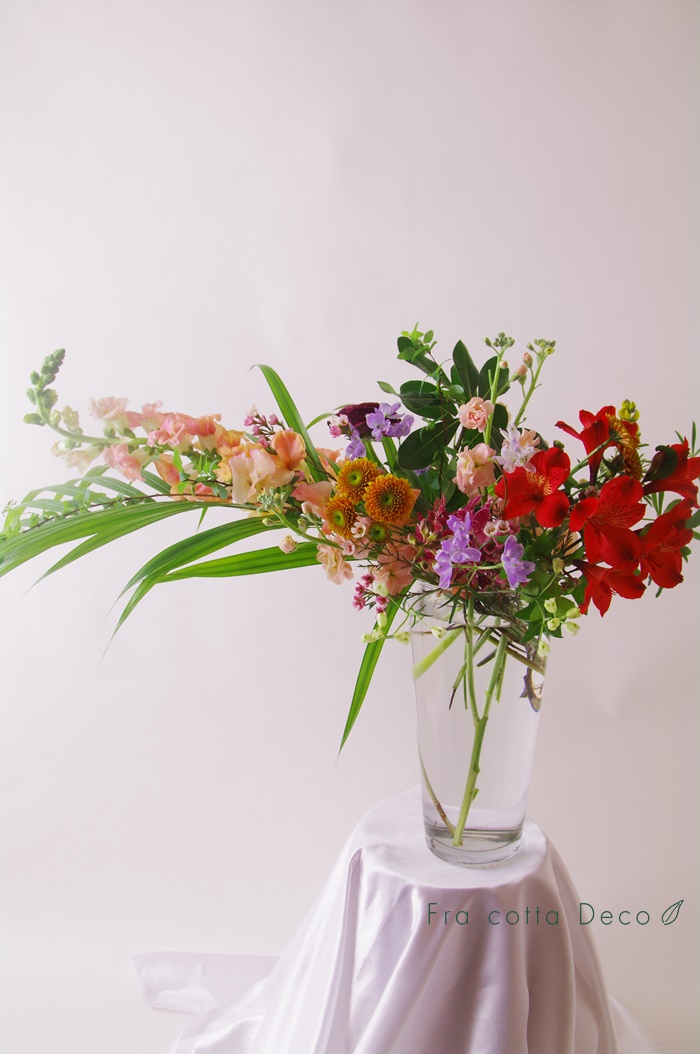 体験レッスン(1月・2月・3月)