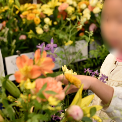 花に触れる時間が家族の会話になる『親子クラス』４月スタート！