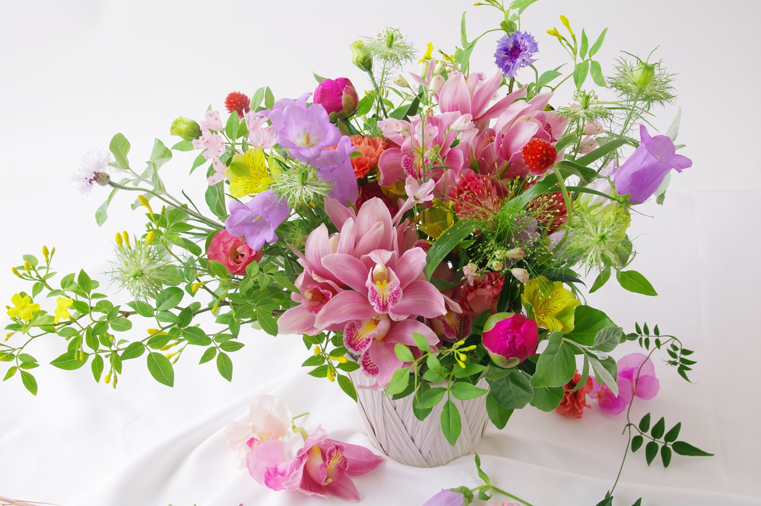 2026年5月単発レッスンのご案内