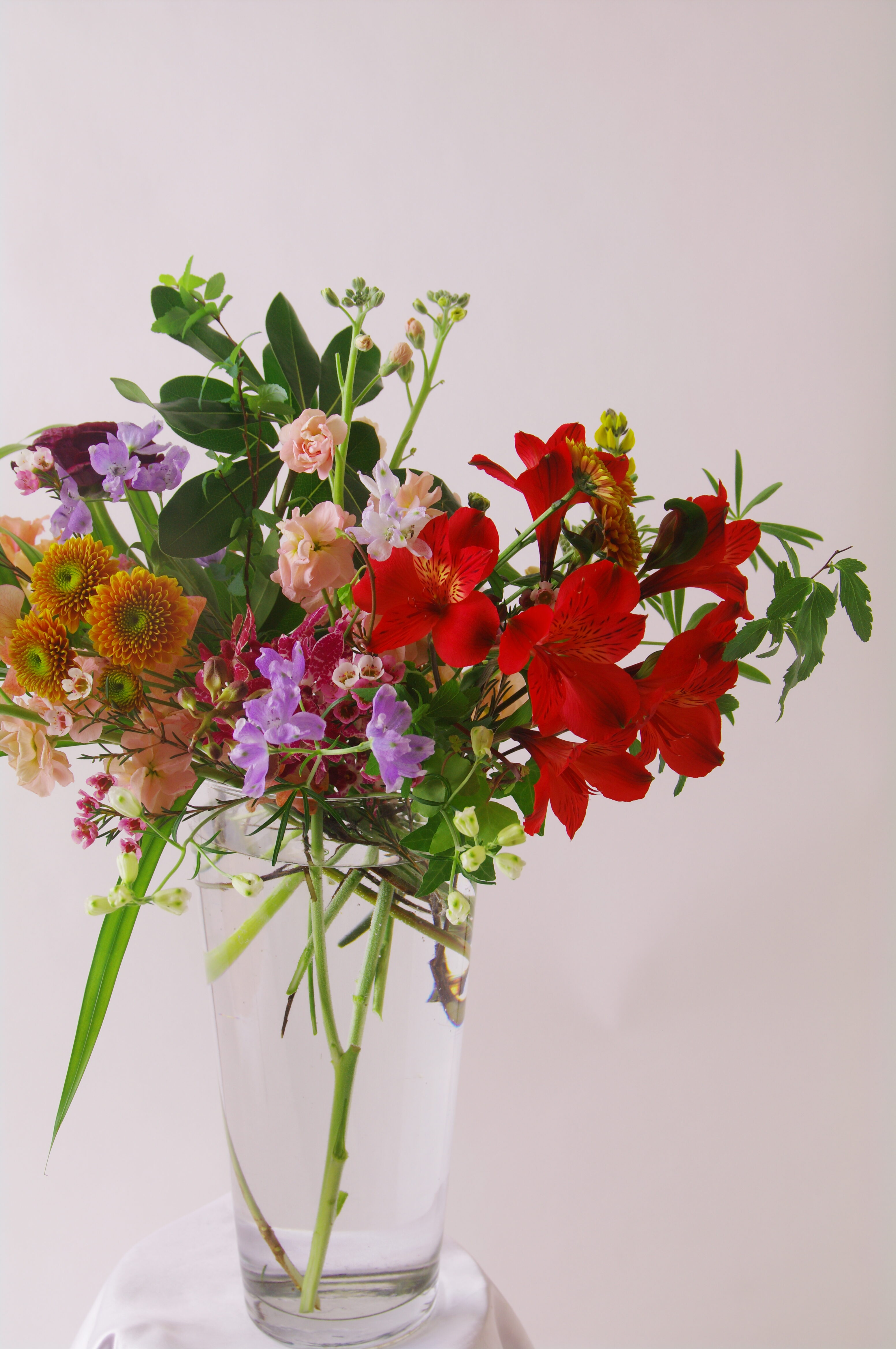 体験レッスン（５月）