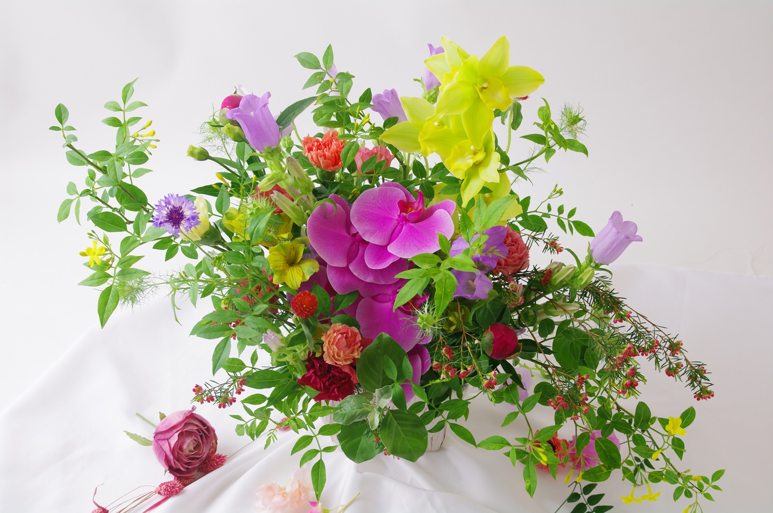 2026年5月単発レッスンのご案内