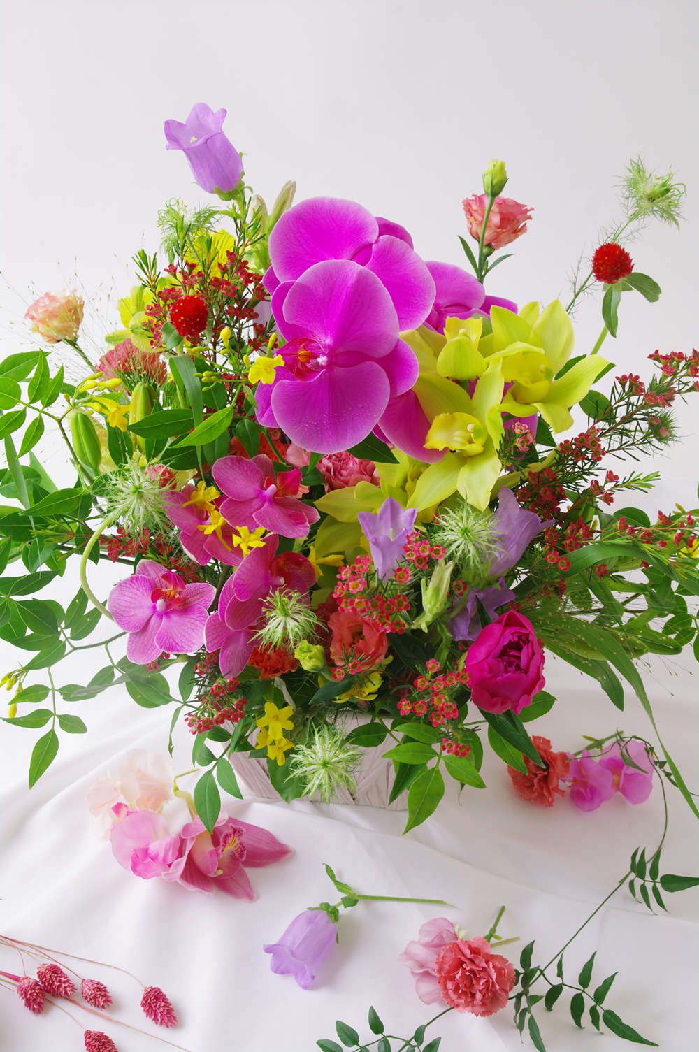 体験レッスン（５月）