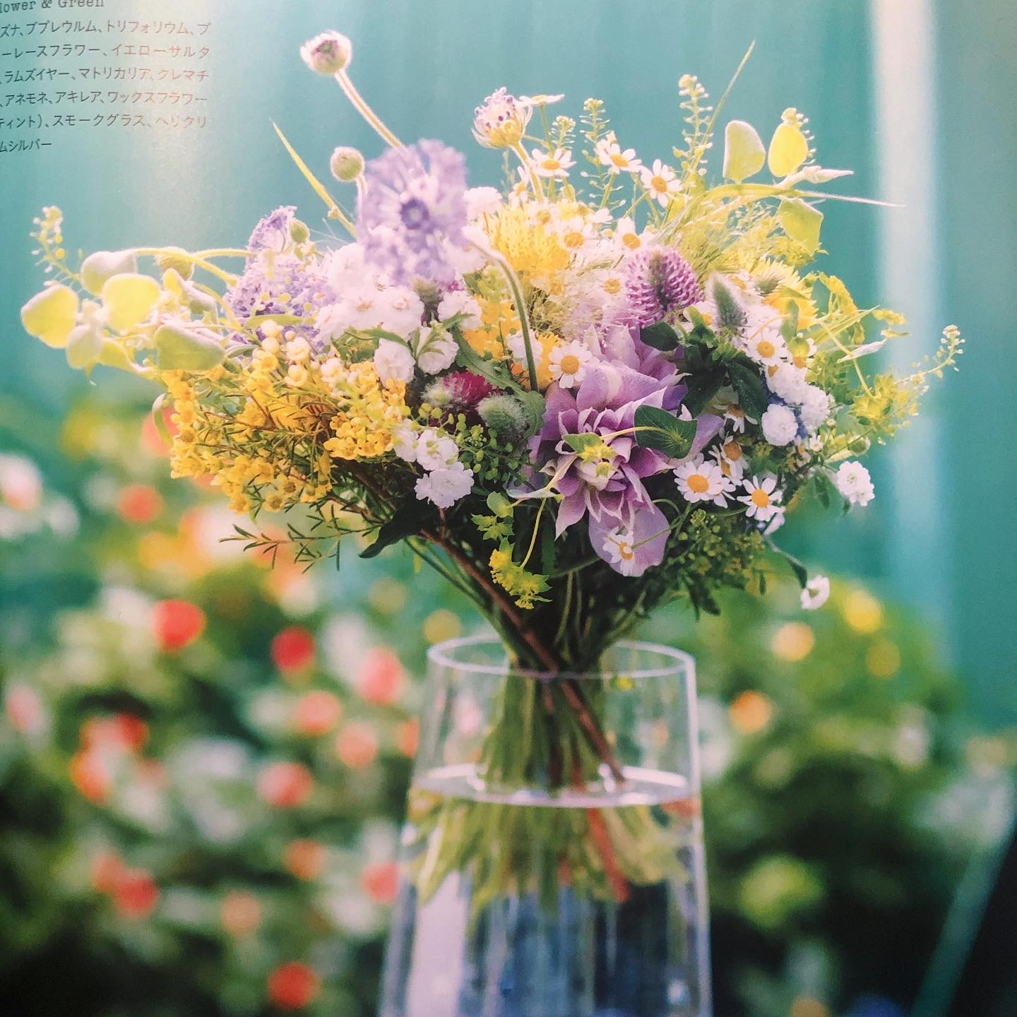 体験レッスン（５月）