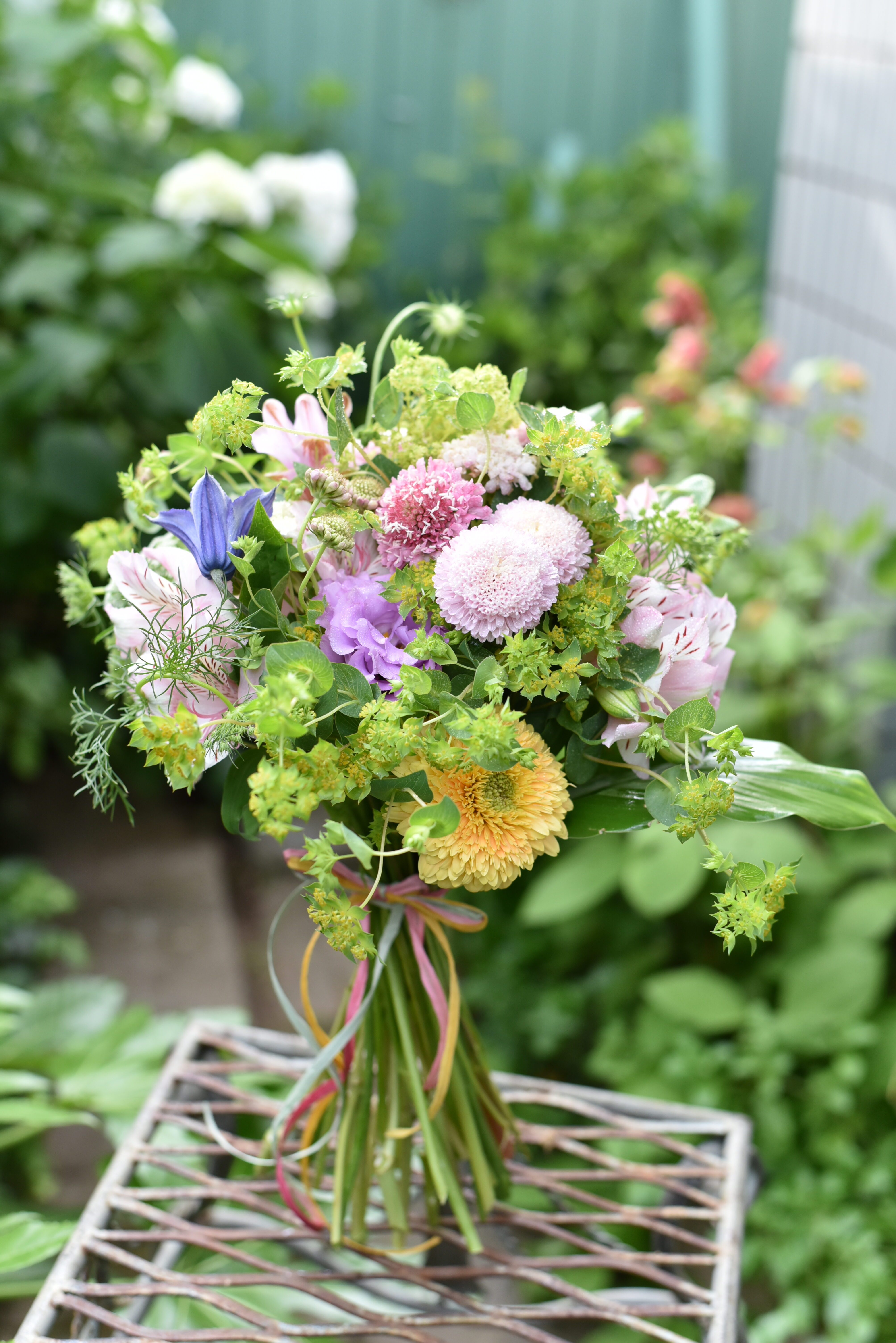 体験レッスン（５月・６月）