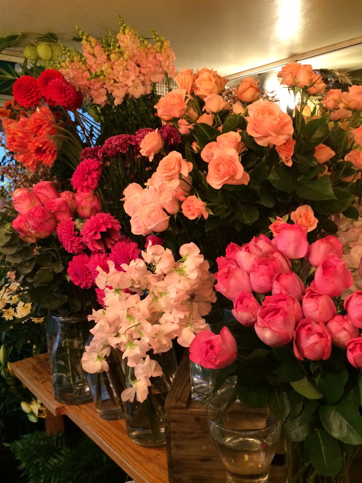 今週末の店頭には色鮮やかなバラが並んでいます。