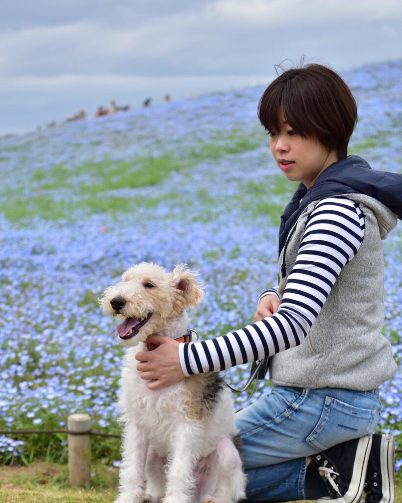 看板犬になれる日を夢みて・・・。