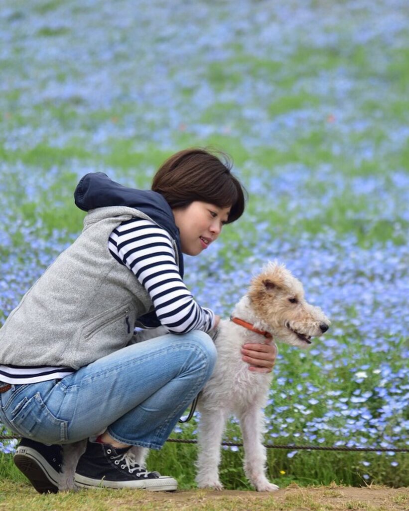 看板犬になれる日を夢みて・・・。