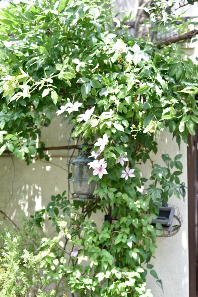 花が咲いた後には、何ができる？