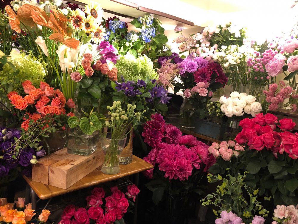お店の中を大公開！３つの難関をくぐると、色鮮やかなお花に出会えます