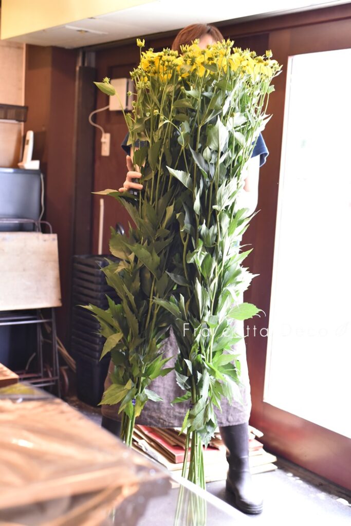 ～7月19日（金）本日入荷のお花～
