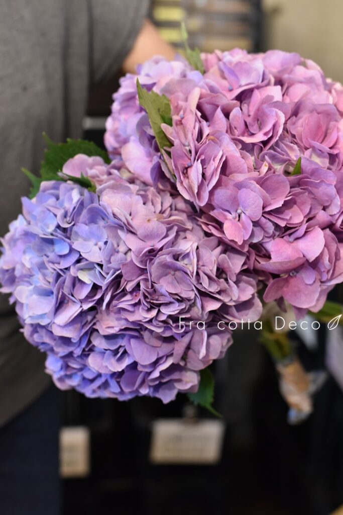 ～7月19日（金）本日入荷のお花～