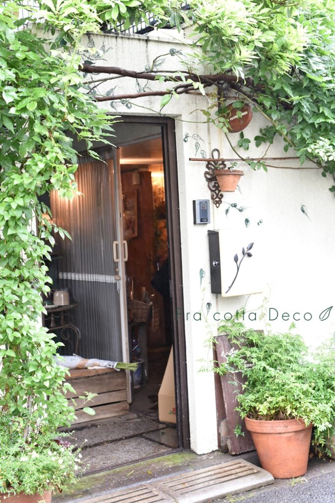 お店の中を大公開！３つの難関をくぐると、色鮮やかなお花に出会えます