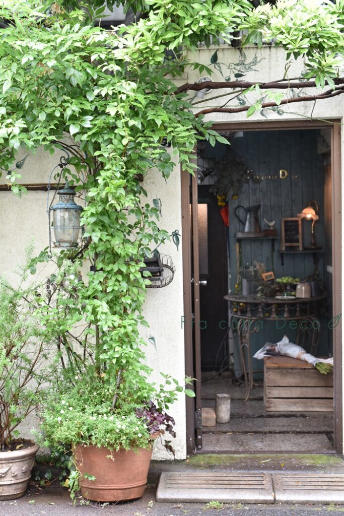 お店の中を大公開！３つの難関をくぐると、色鮮やかなお花に出会えます