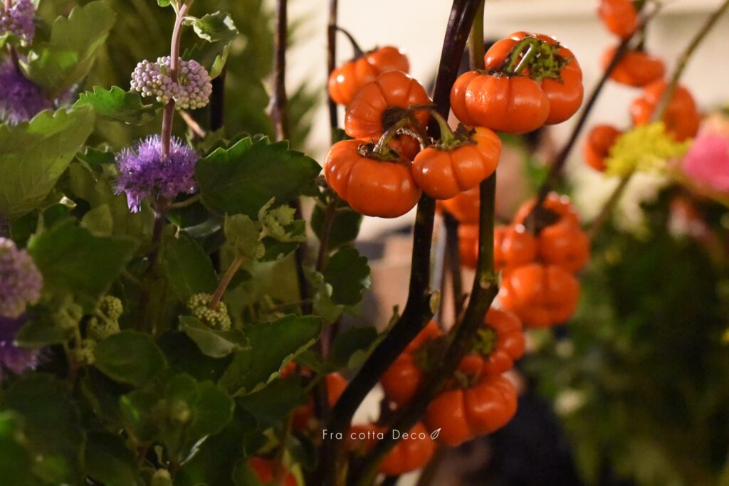 9/14(土)入荷のお花はドライのお花が揃っています