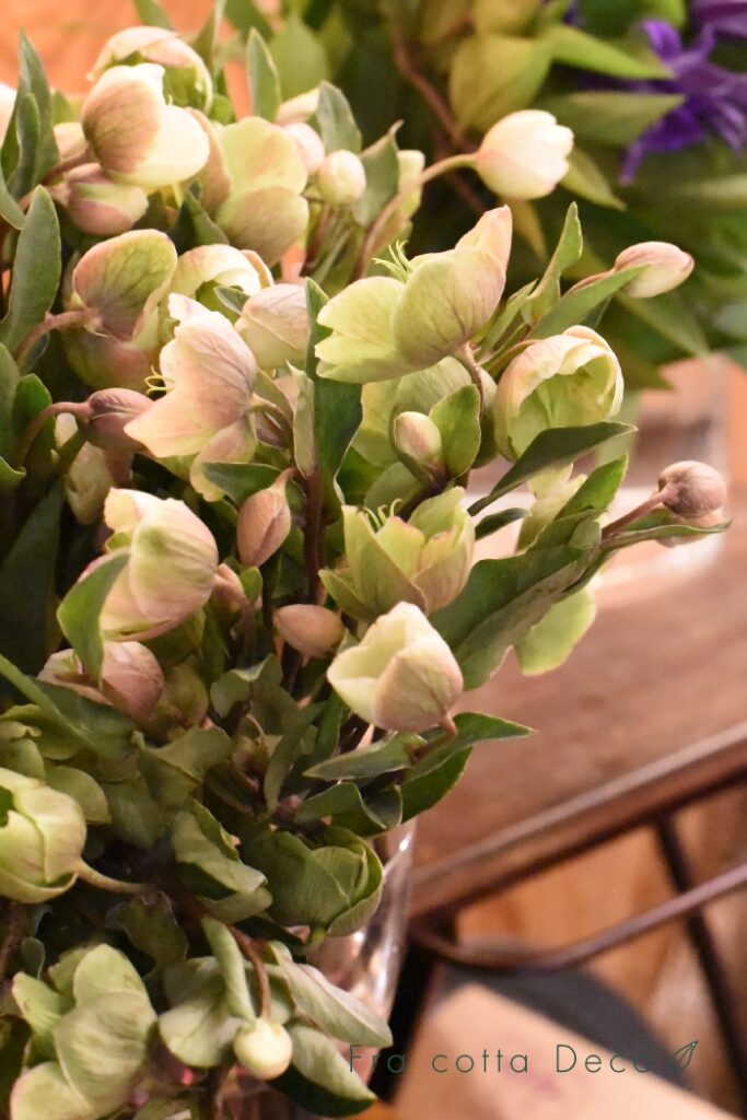 9月27日（金）本日入荷のお花