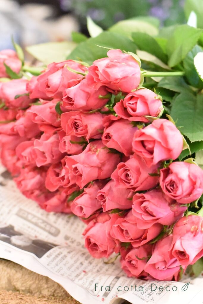 10月4日(金)本日入荷のお花