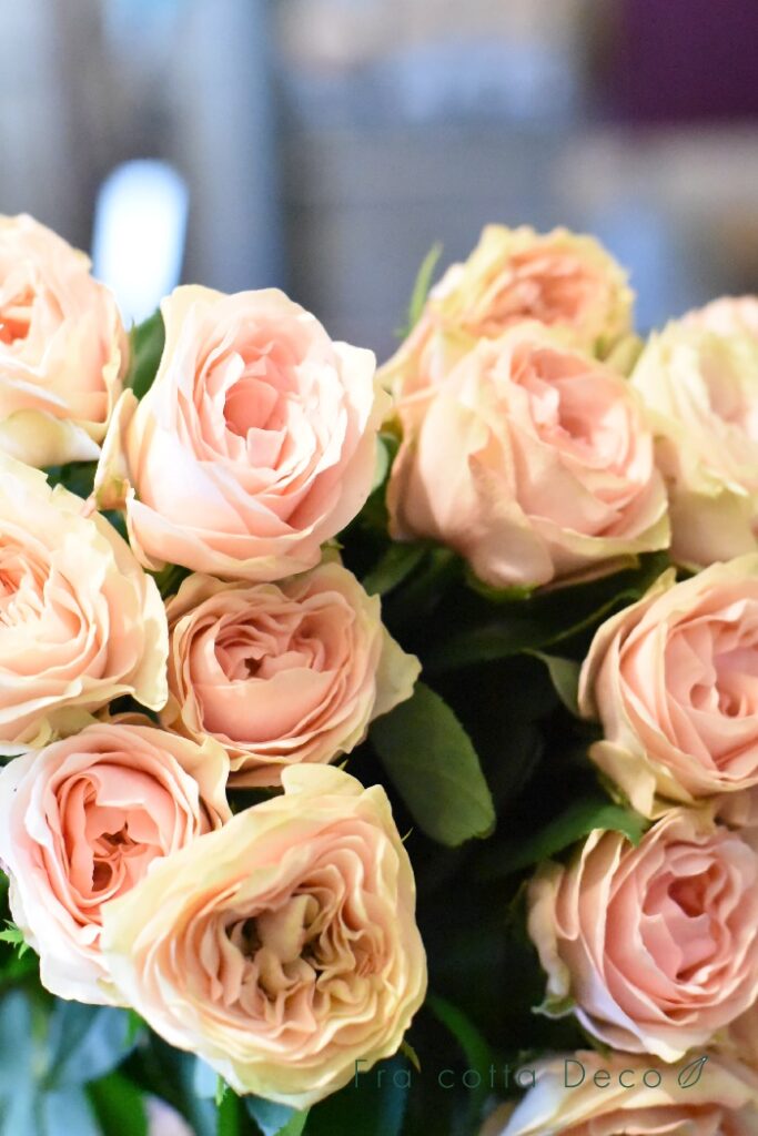 10月4日(金)本日入荷のお花