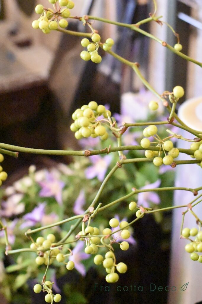 10月4日（金）本日入荷のお花