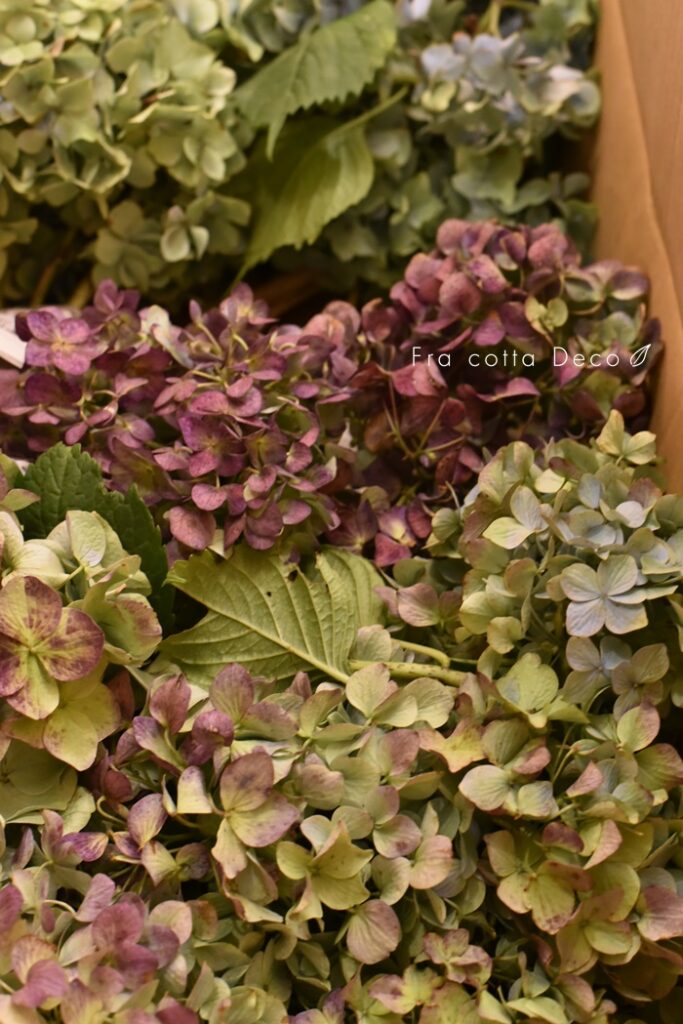 10月18日（金）本日入荷のお花