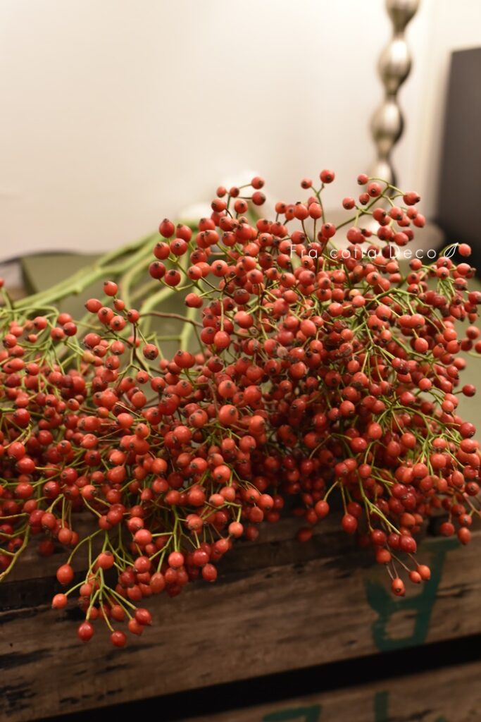 10月18日（金）本日入荷のお花