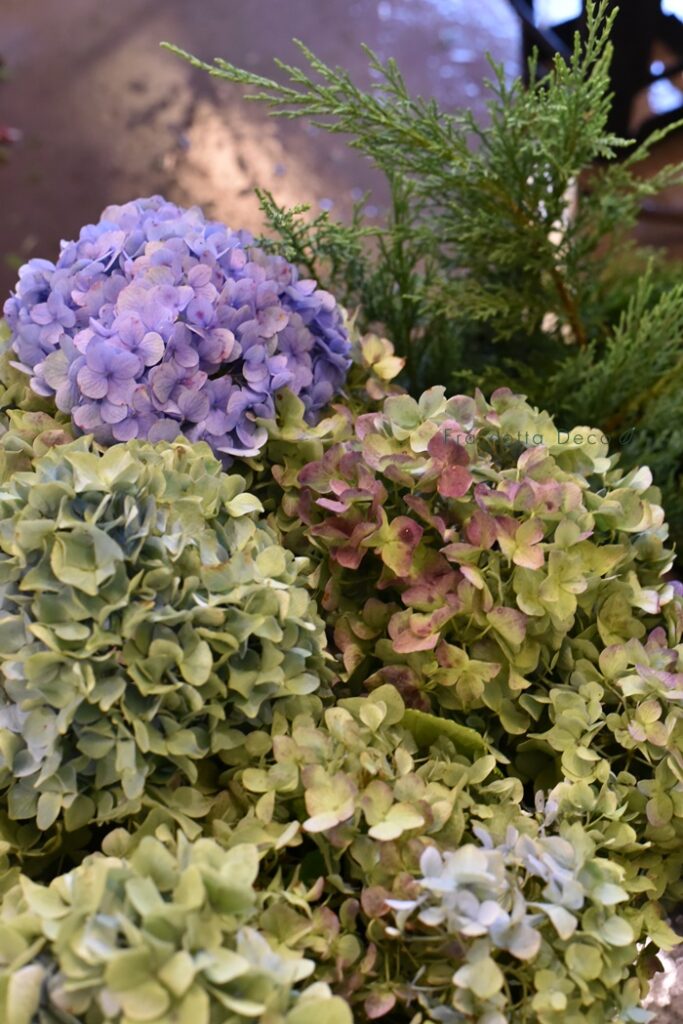 10月25日（金）本日入荷のお花
