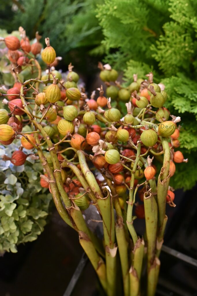 10月25日（金）本日入荷のお花