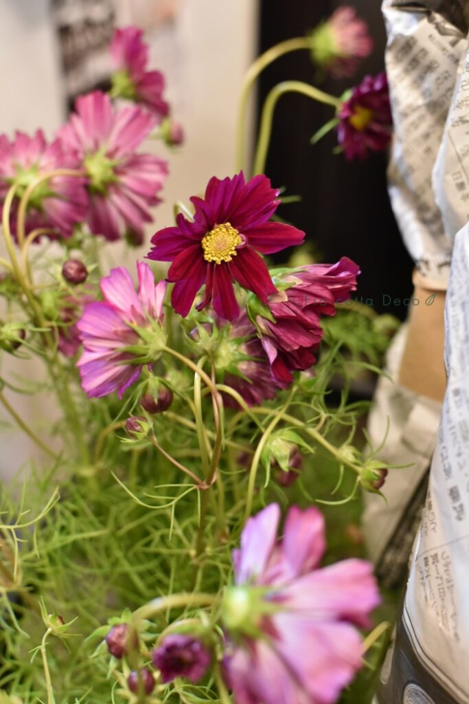 10月25日（金）本日入荷のお花