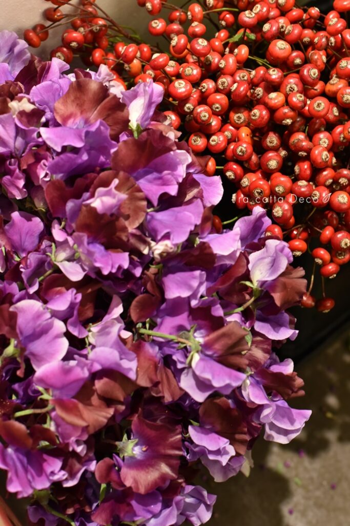 11月8日（金）本日入荷のお花