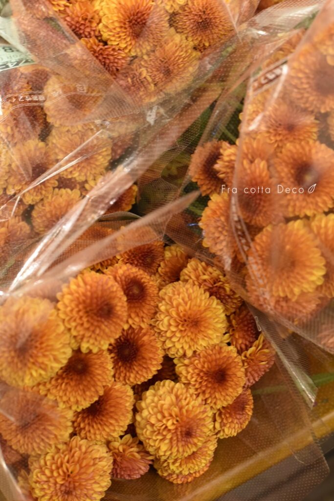 11月8日（金）本日入荷のお花