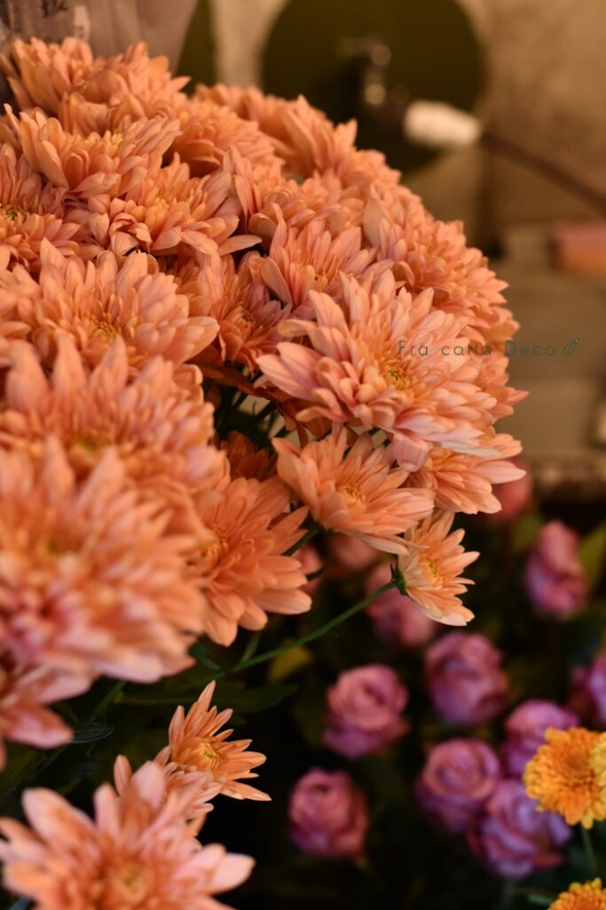11月22日（金）本日入荷のお花
