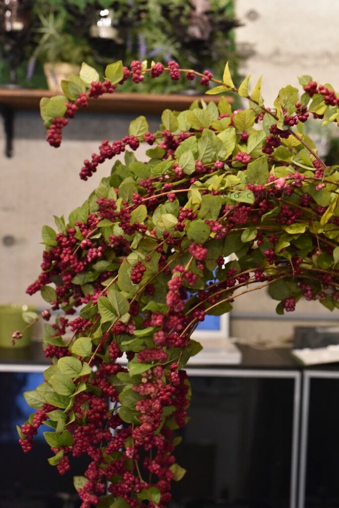 11月22日（金）本日入荷のお花