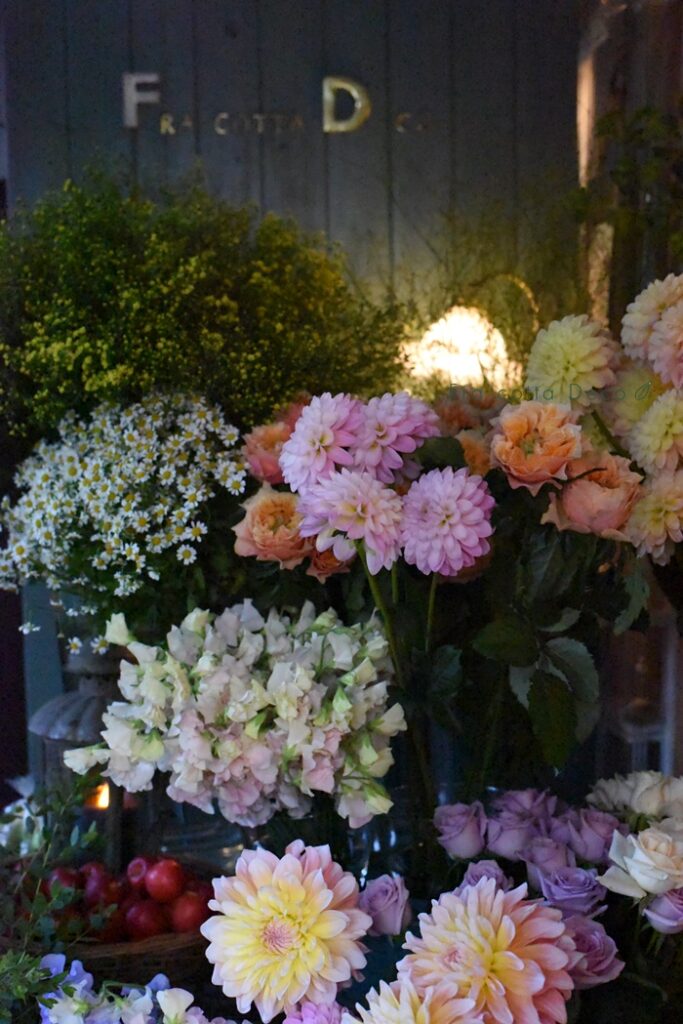 12月6日（金）一足早い、春を感じさせる花が沢山！！