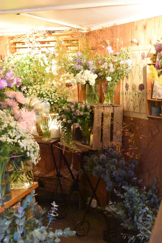 12月6日（金）一足早い、春を感じさせる花が沢山！！