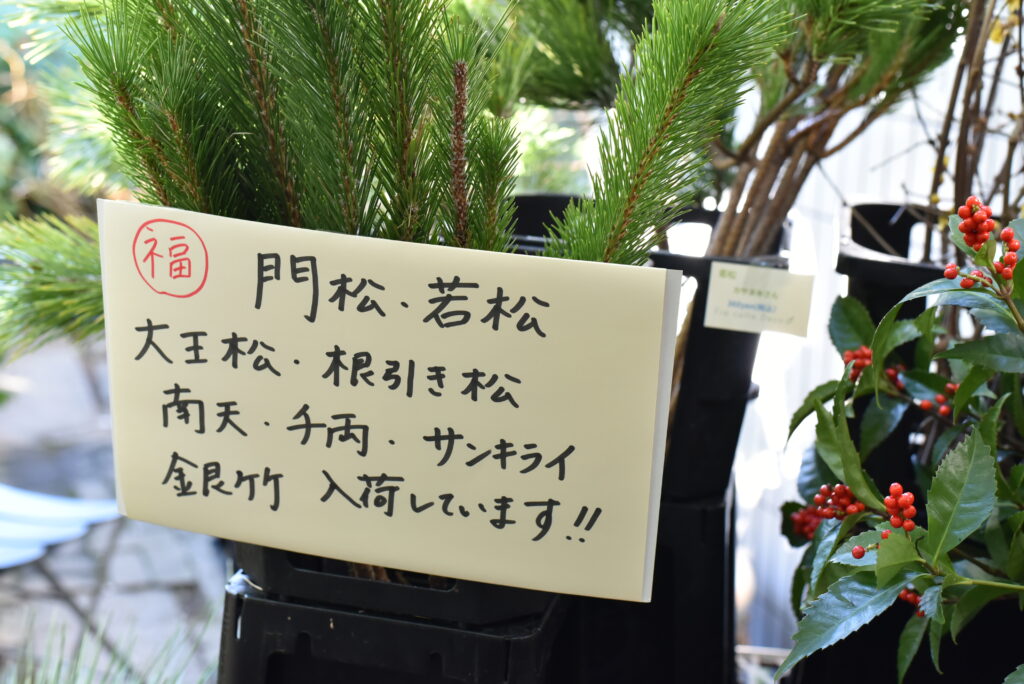 店頭にてお正月花・お徳用セット・アレンジ販売スタート！