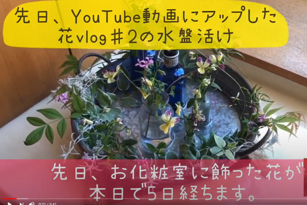 【動画】え！なんと10日以上はお花を楽める