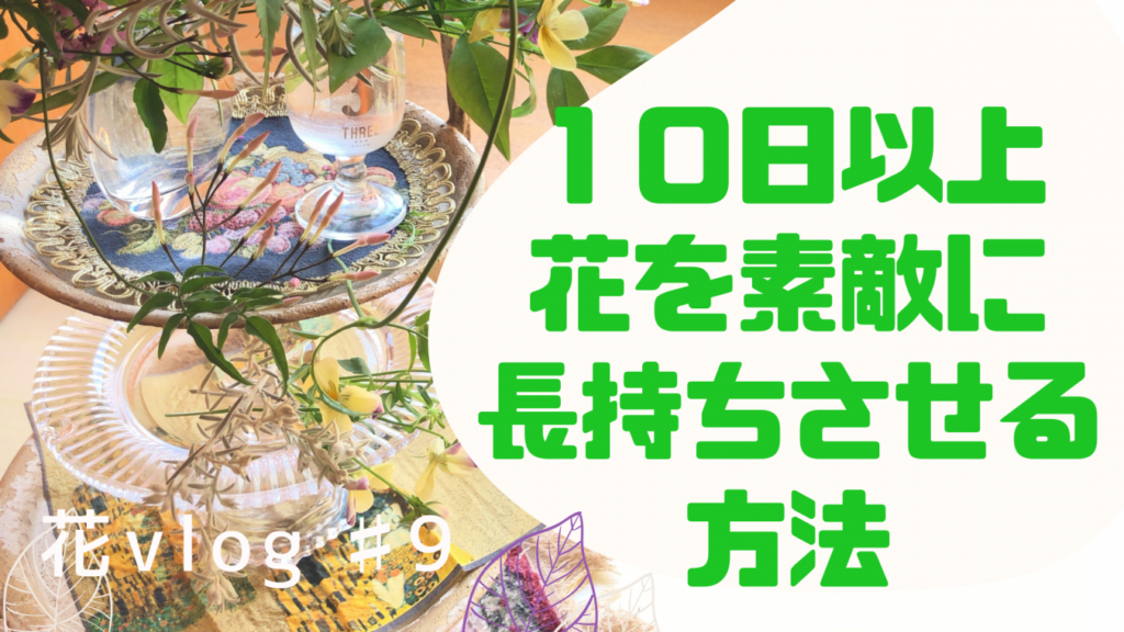 【動画】え！なんと10日以上はお花を楽める