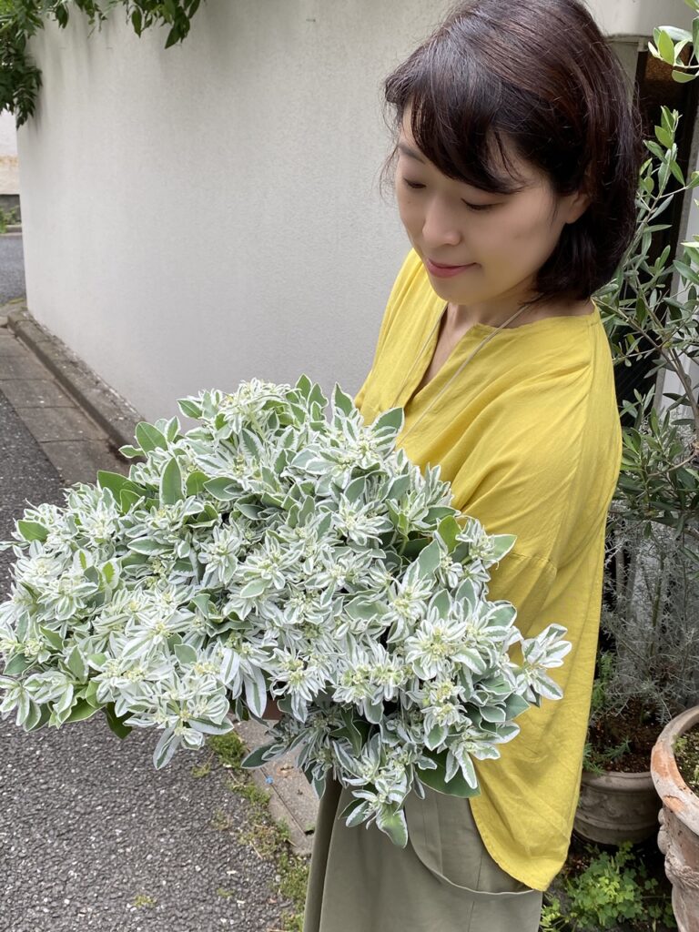 本日のオススメと、今後のリモートレッスンについて