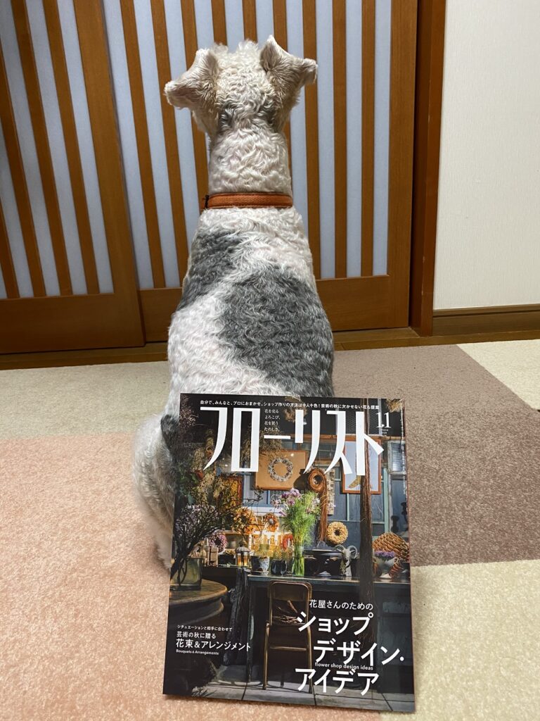 月刊『フローリスト』に掲載されています