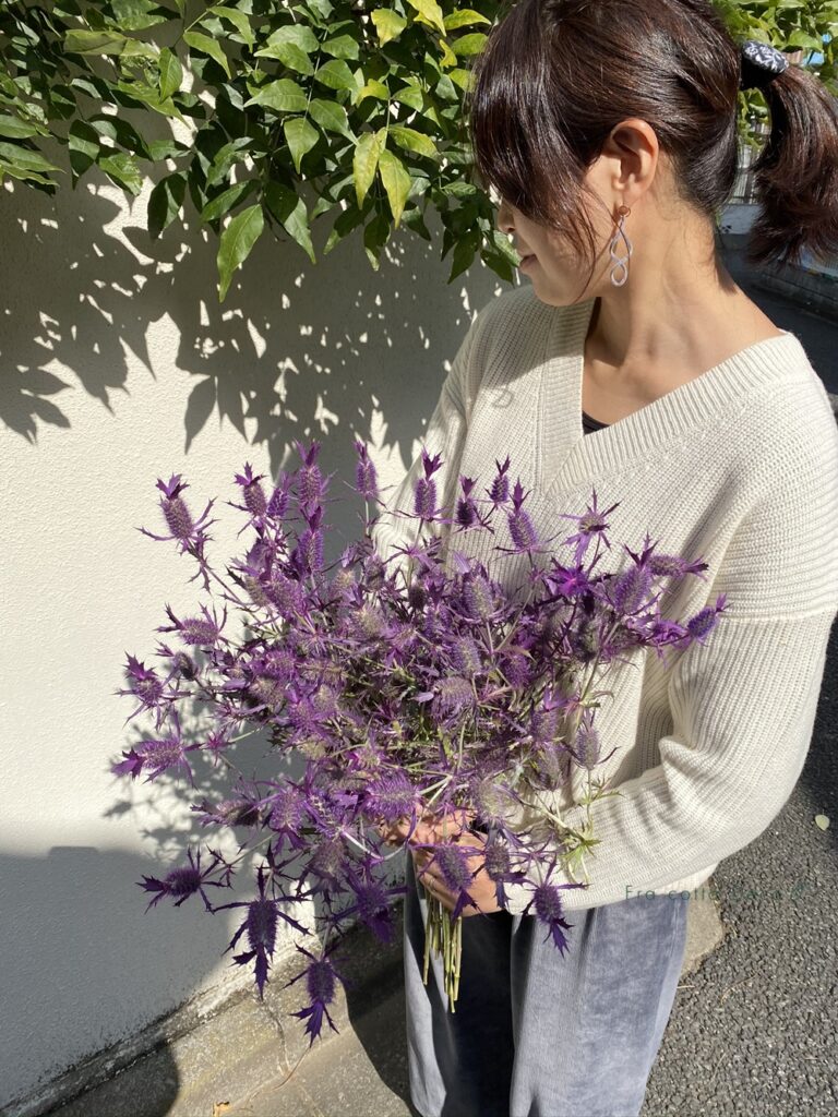 絶対に長持ち！ドライになるお花がたっぷりと入荷しました