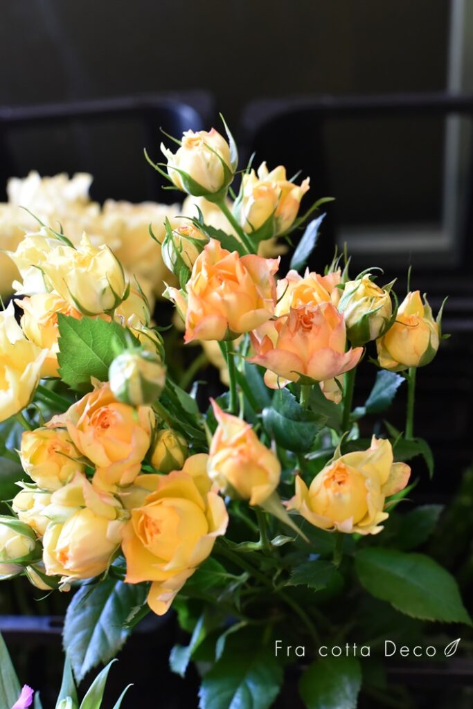 今週も赤や黄色のお花が入荷しています!