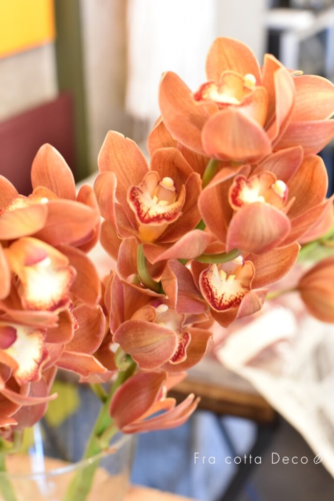 今週はカラフルなお花やバラなど色鮮やかです