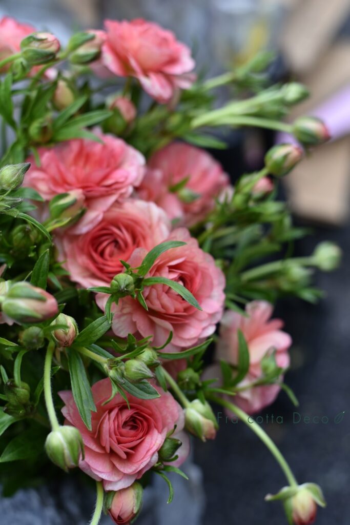 春のお花が入荷しています