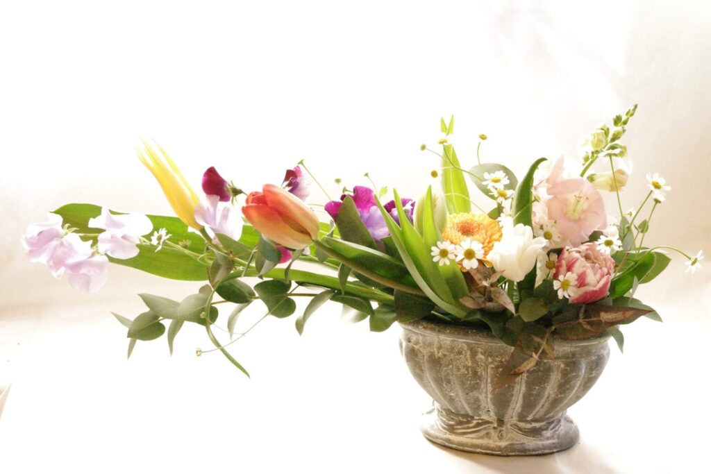 今年の目標と、春のお花と、体験レッスン