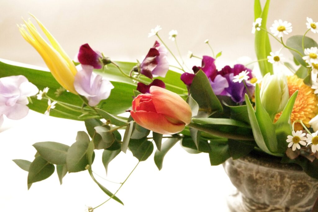 今年の目標と、春のお花と、体験レッスン